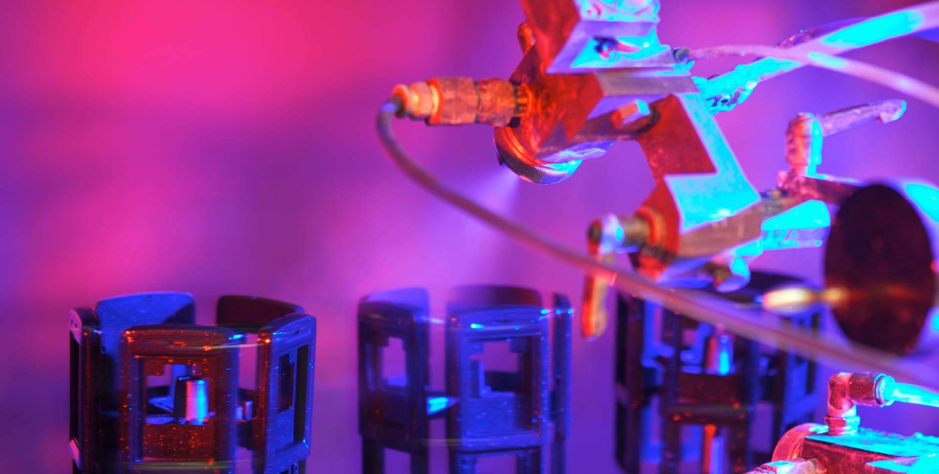 今年会 | 官方网站