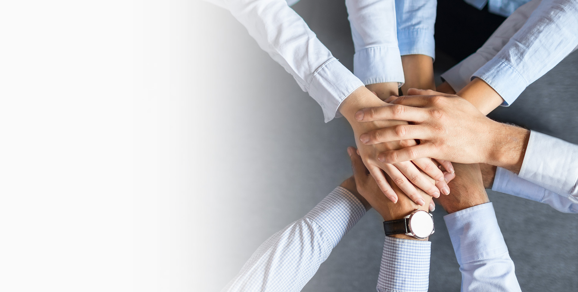 今年会 | 官方网站