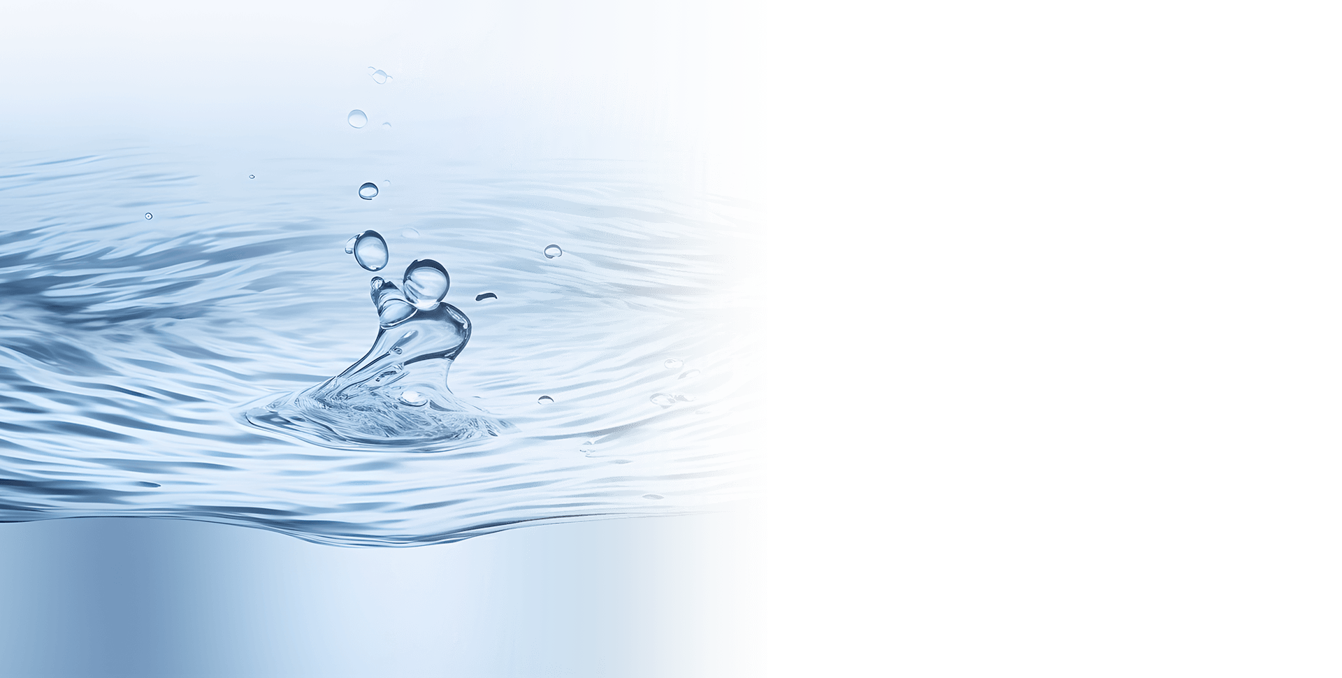 今年会 | 官方网站