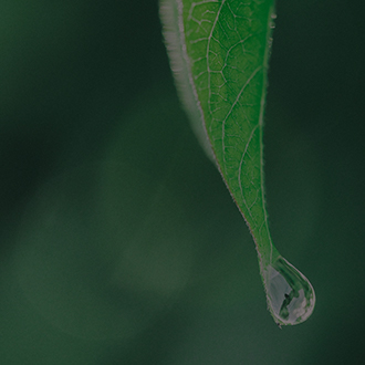 今年会 | 官方网站