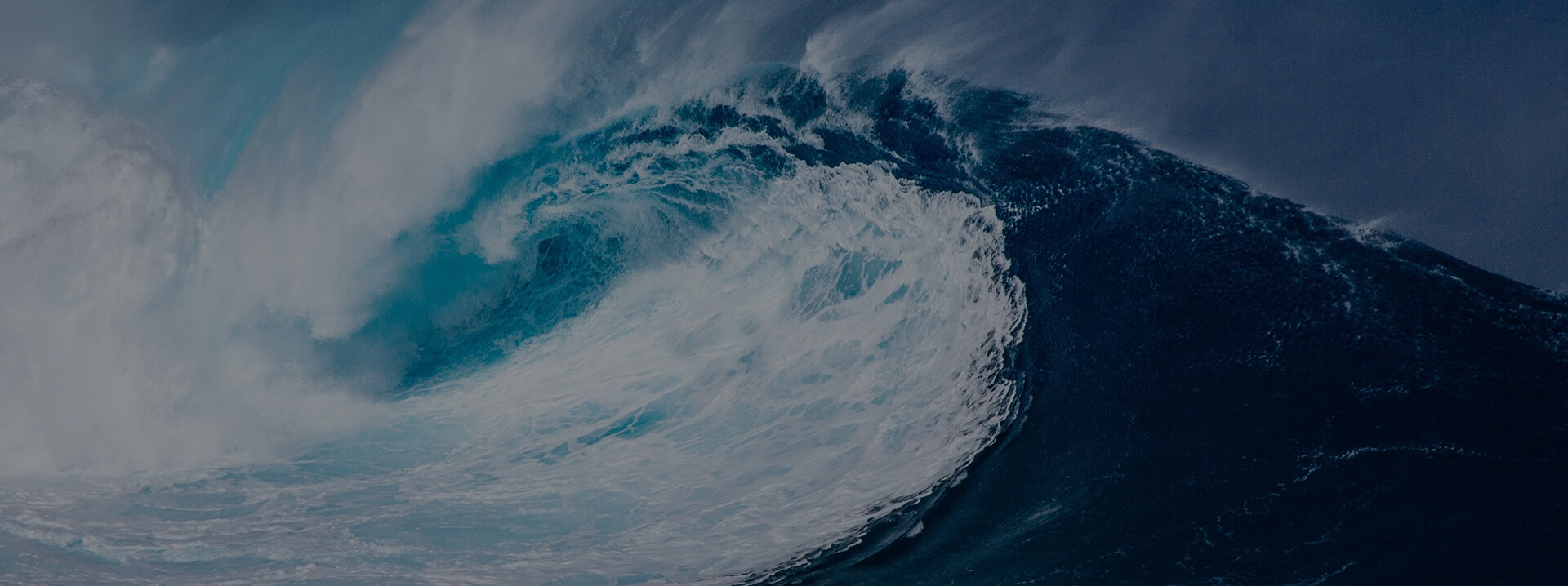 今年会 | 官方网站