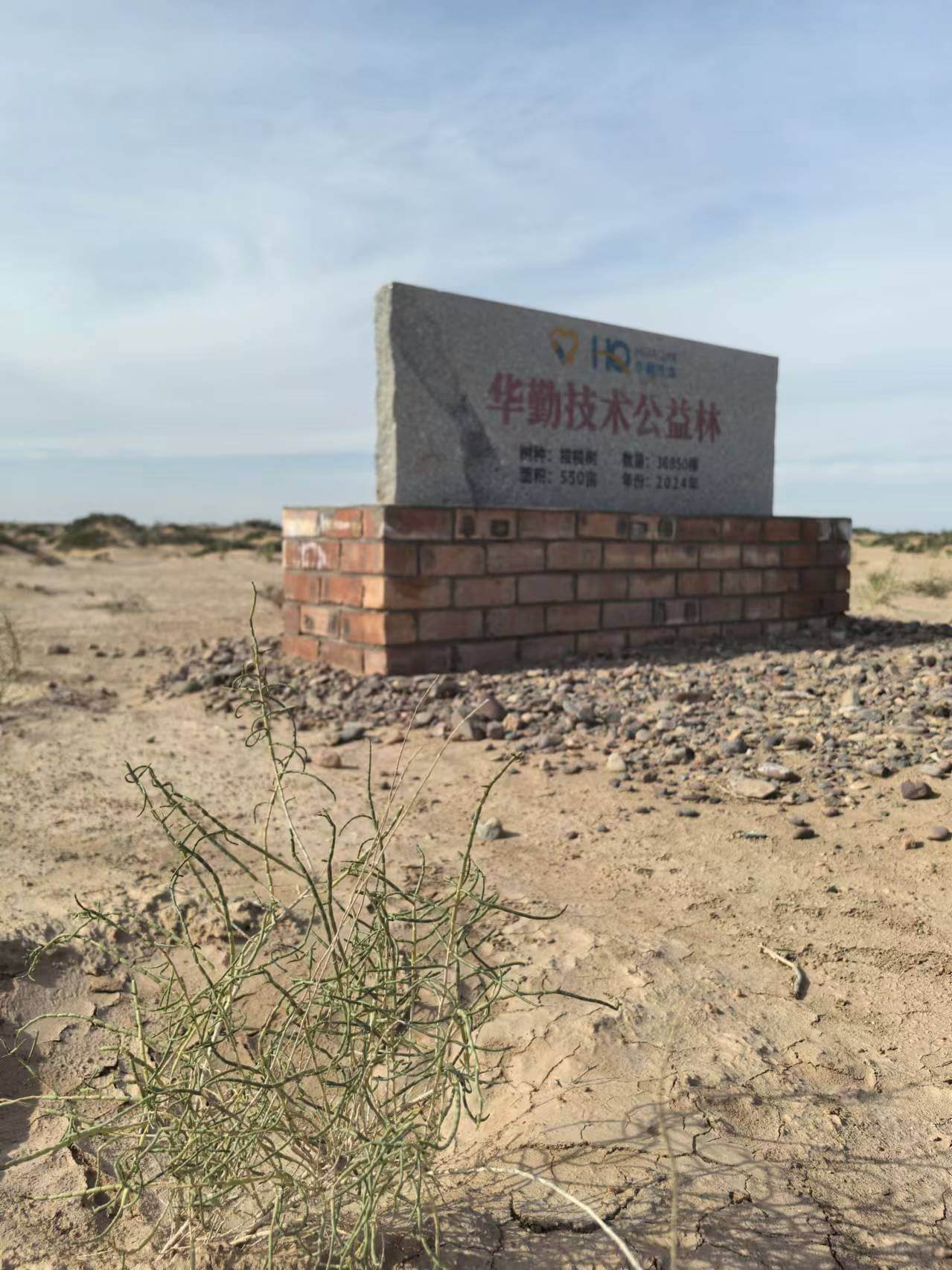 今年会 | 官方网站