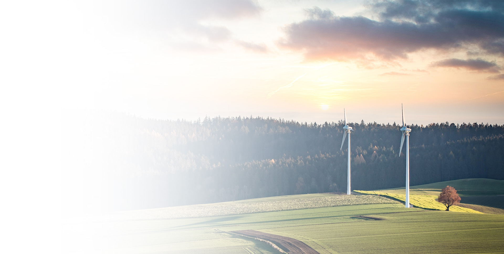 今年会 | 官方网站